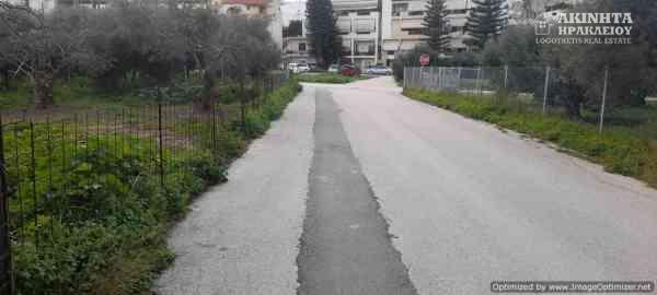 20210128_142704.jpg